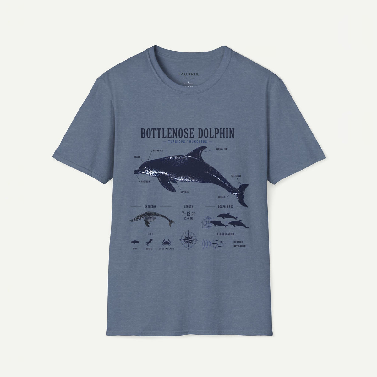 Bottlenose Dolphin Anatomy Tee – Illustrated Marine Life T-Shirt Main image