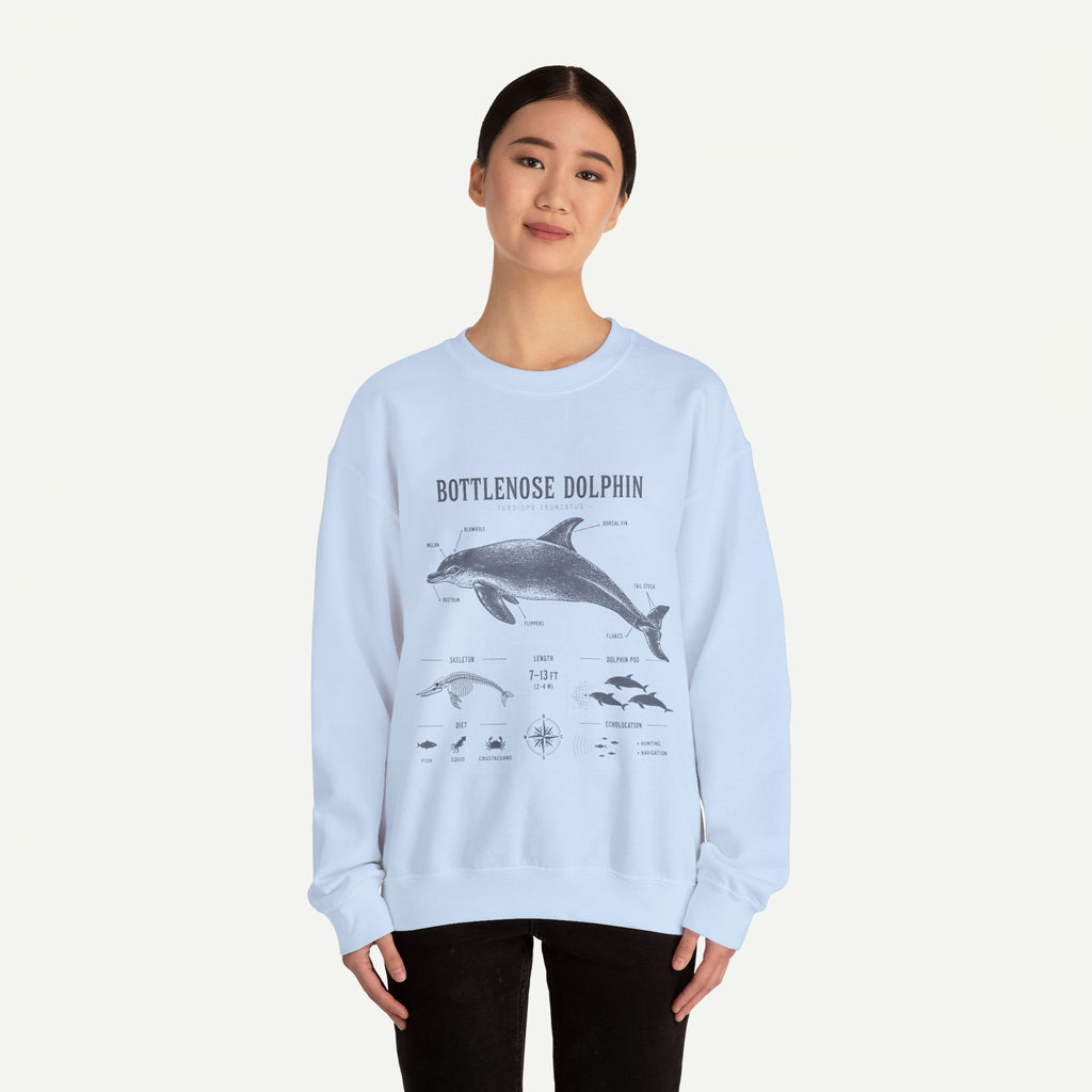 Bottlenose Dolphin Sweatshirt – Marine Life Educational Graphic
