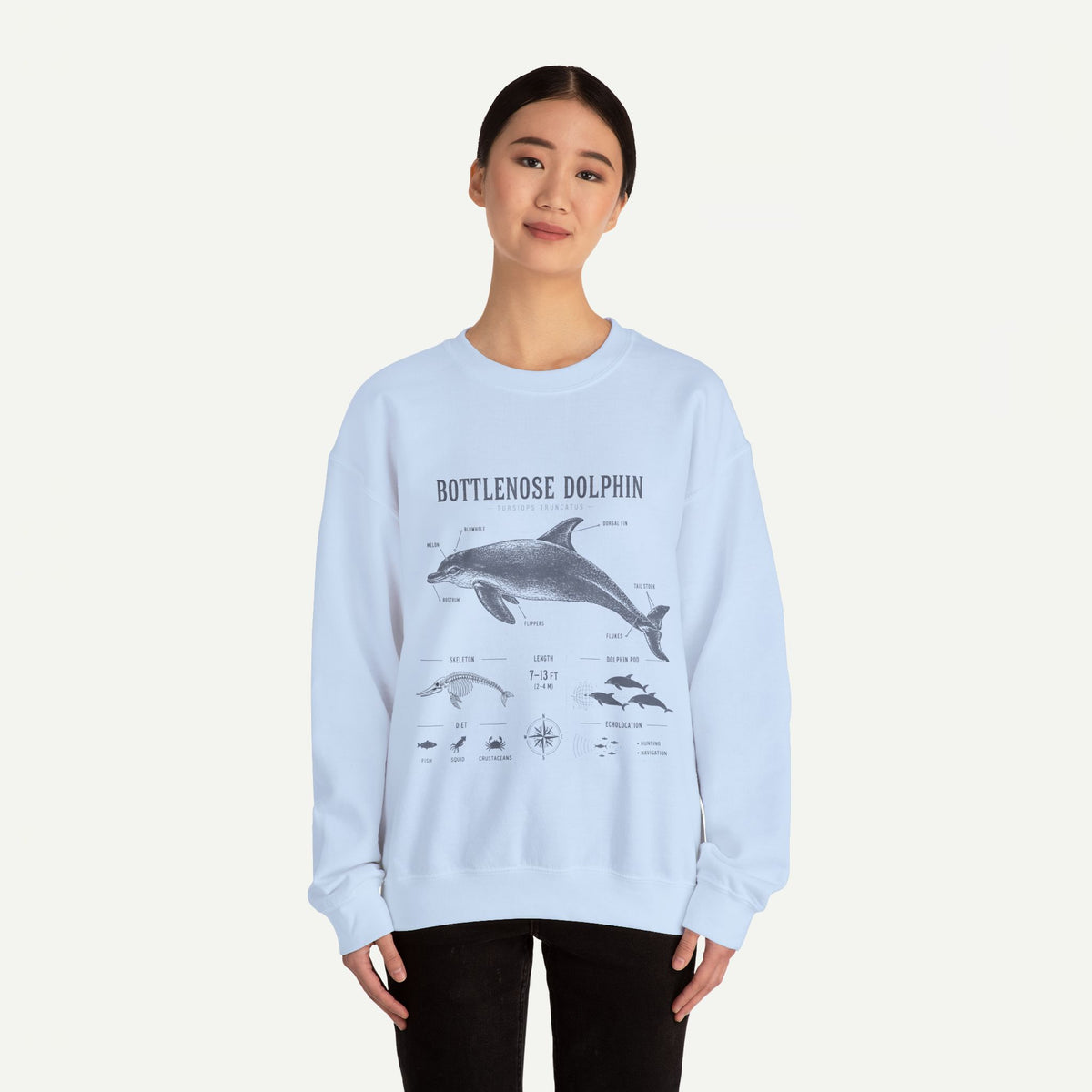 Bottlenose Dolphin Sweatshirt – Marine Life Educational Graphic