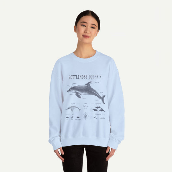 Bottlenose Dolphin Sweatshirt – Marine Life Educational Graphic