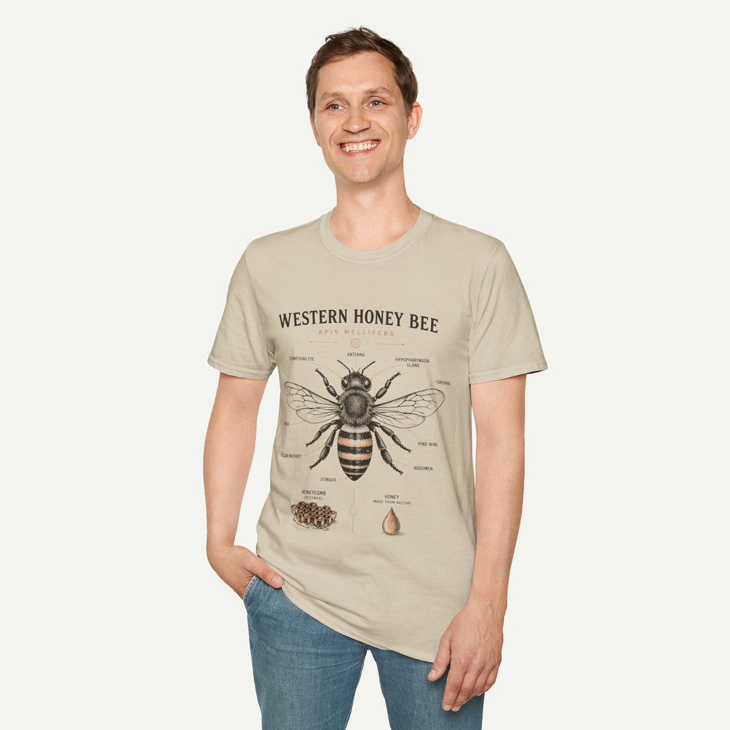 Western Honey Bee Illustration T-Shirt — Apis Mellifera Vintage Bee Anatomy Tee