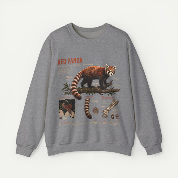 Red Panda Anatomy Sweatshirt — Vintage Wildlife Crewneck
