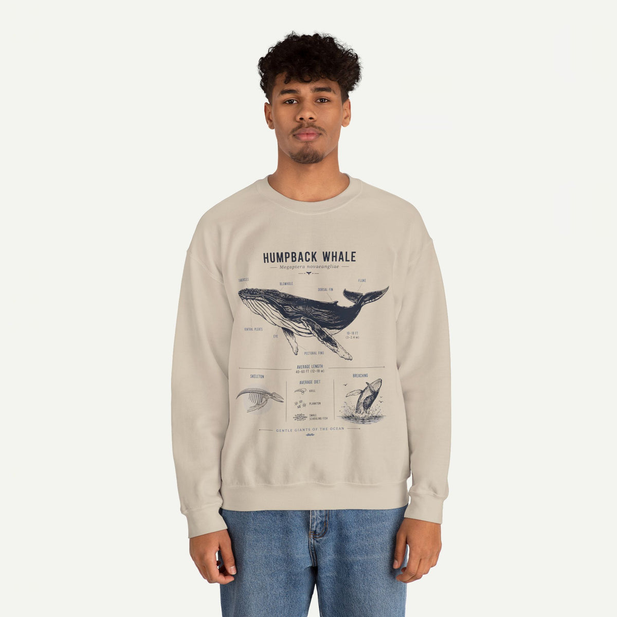 Humpback Whale Anatomy Sweatshirt