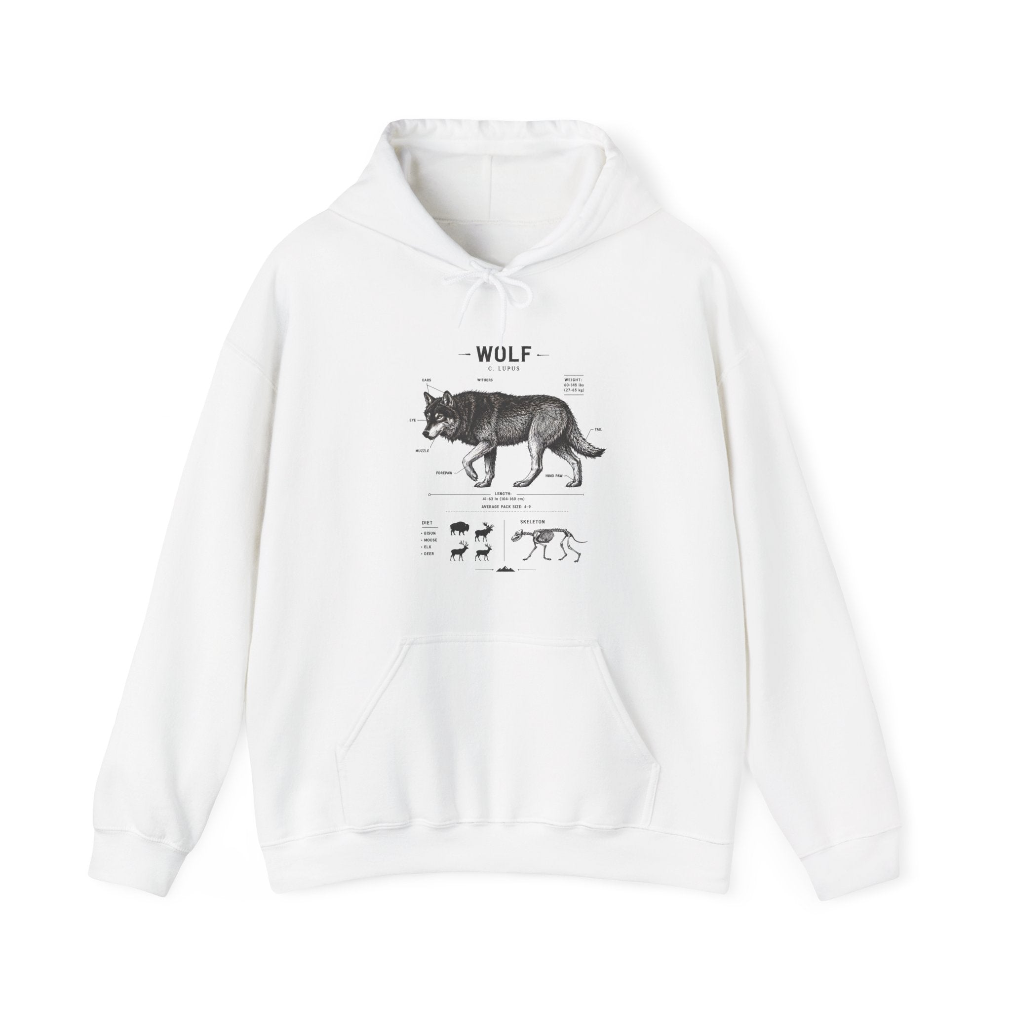 Wolf Anatomy Hoodie – Vintage Wildlife Diagram Sweatshirt Secondary image
