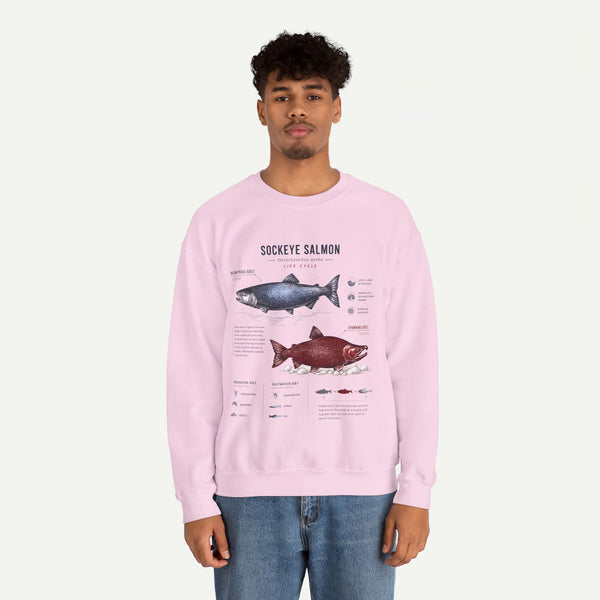 Sockeye Salmon Anatomy Sweatshirt — Fish Anatomy Graphic Crewneck