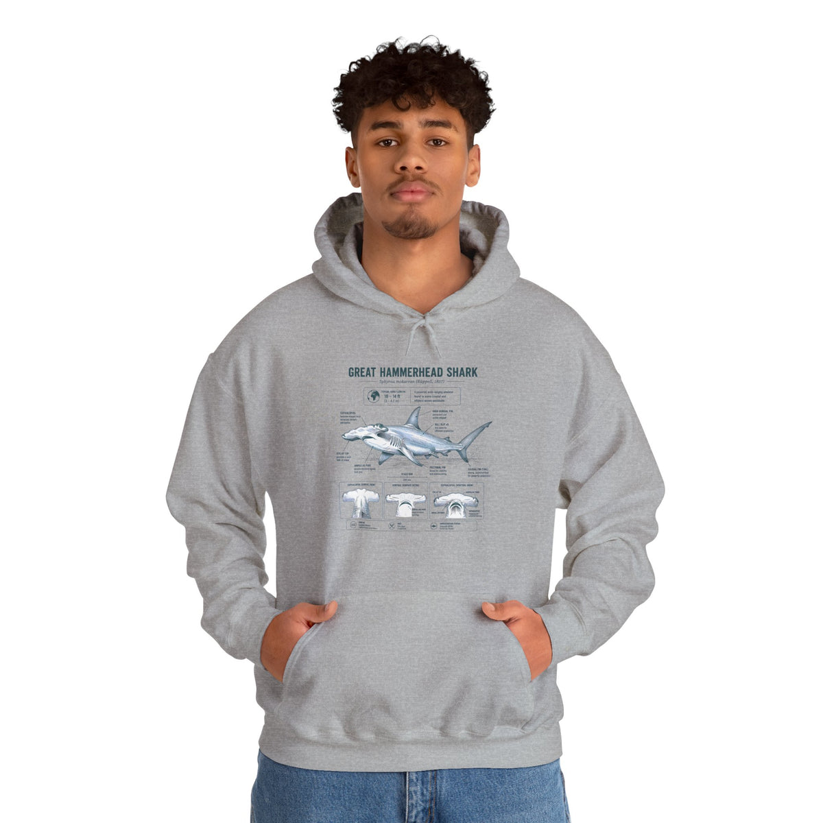 Shark Anatomy Hoodie — Great Hammerhead Shark Diagram Sweatshirt