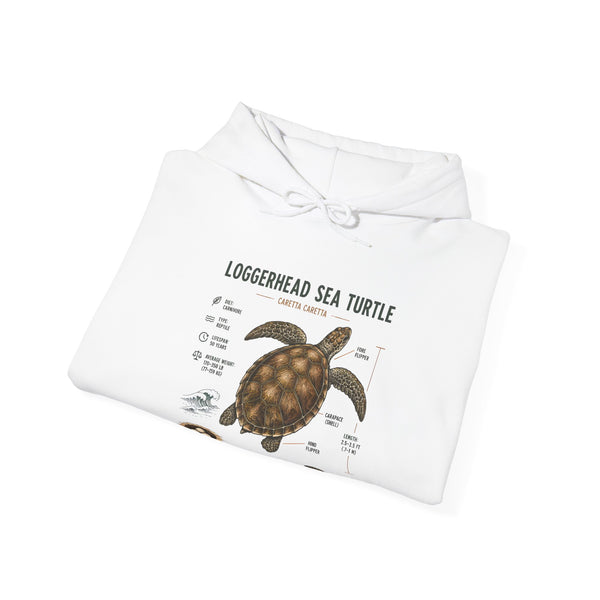 Loggerhead Sea Turtle Diagram Hoodie – Marine Biology Illustration Sweatshirt