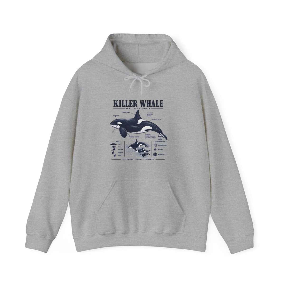 Killer Whale Anatomy Hoodie — Orca Scientific Diagram Sweatshirt