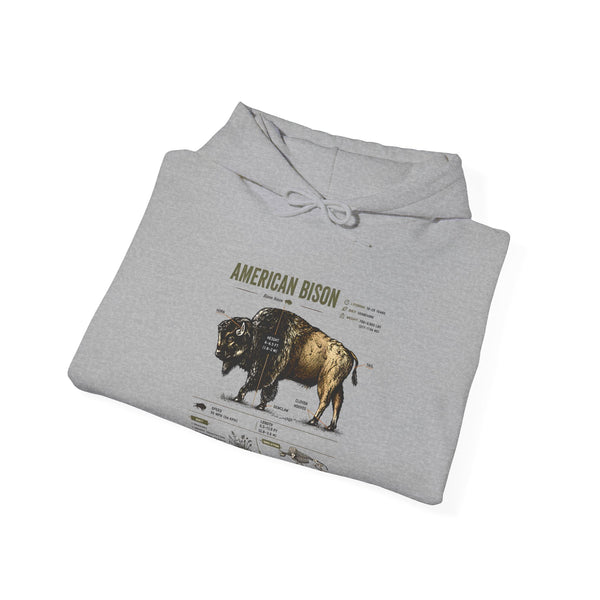 Bison Anatomy Hoodie — American Bison Illustration & Facts Sweatshirt