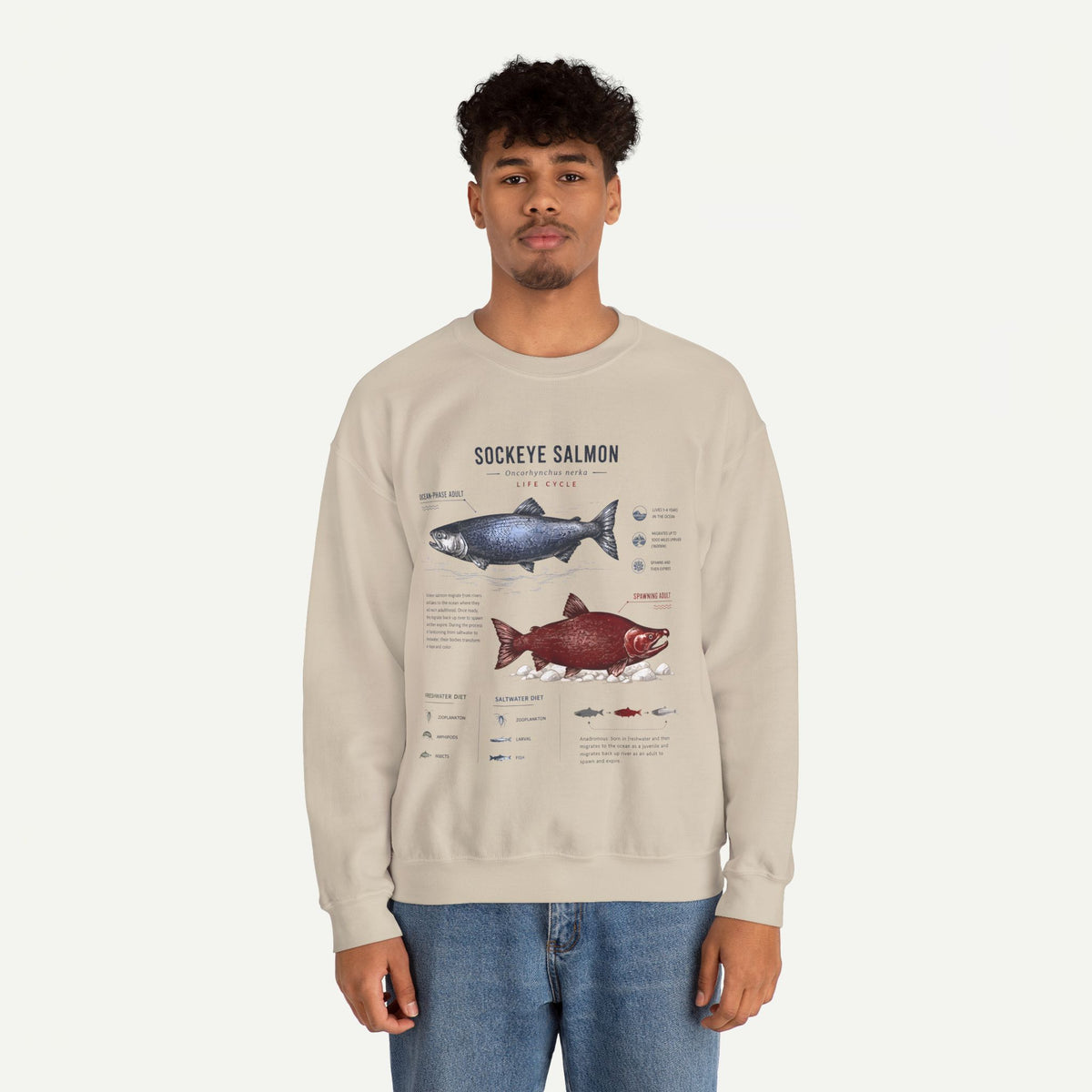 Sockeye Salmon Anatomy Sweatshirt — Fish Anatomy Graphic Crewneck
