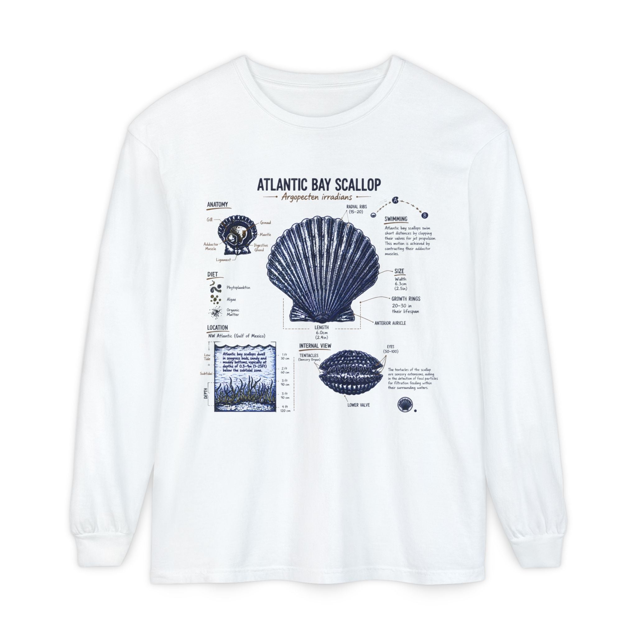 Atlantic Bay Scallop Shell Long Sleeve Tee - Scientific Shell Diagram Secondary image