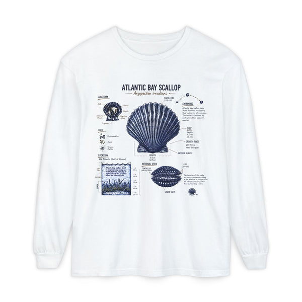 Atlantic Bay Scallop Shell Long Sleeve Tee - Scientific Shell Diagram