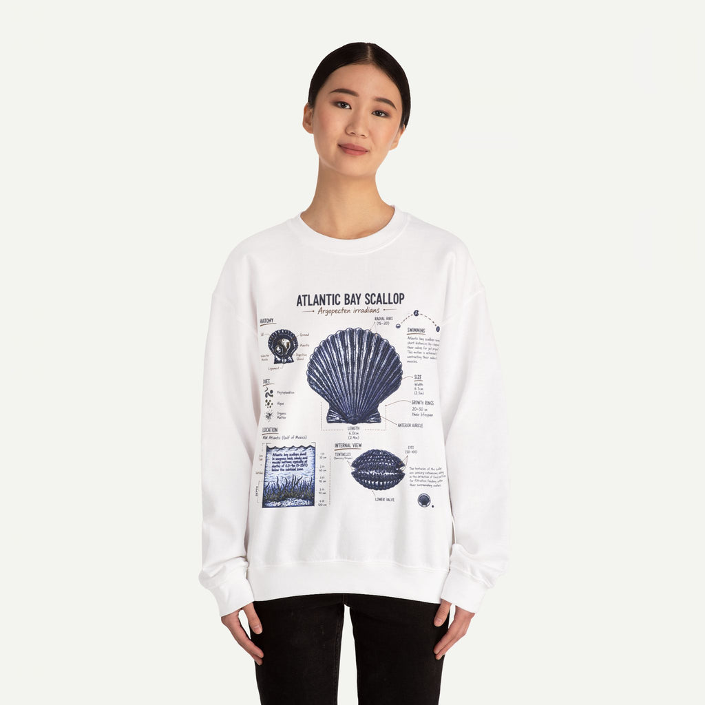 Scallop Anatomy Sweatshirt — Atlantic Bay Seashell Illustration Crewneck