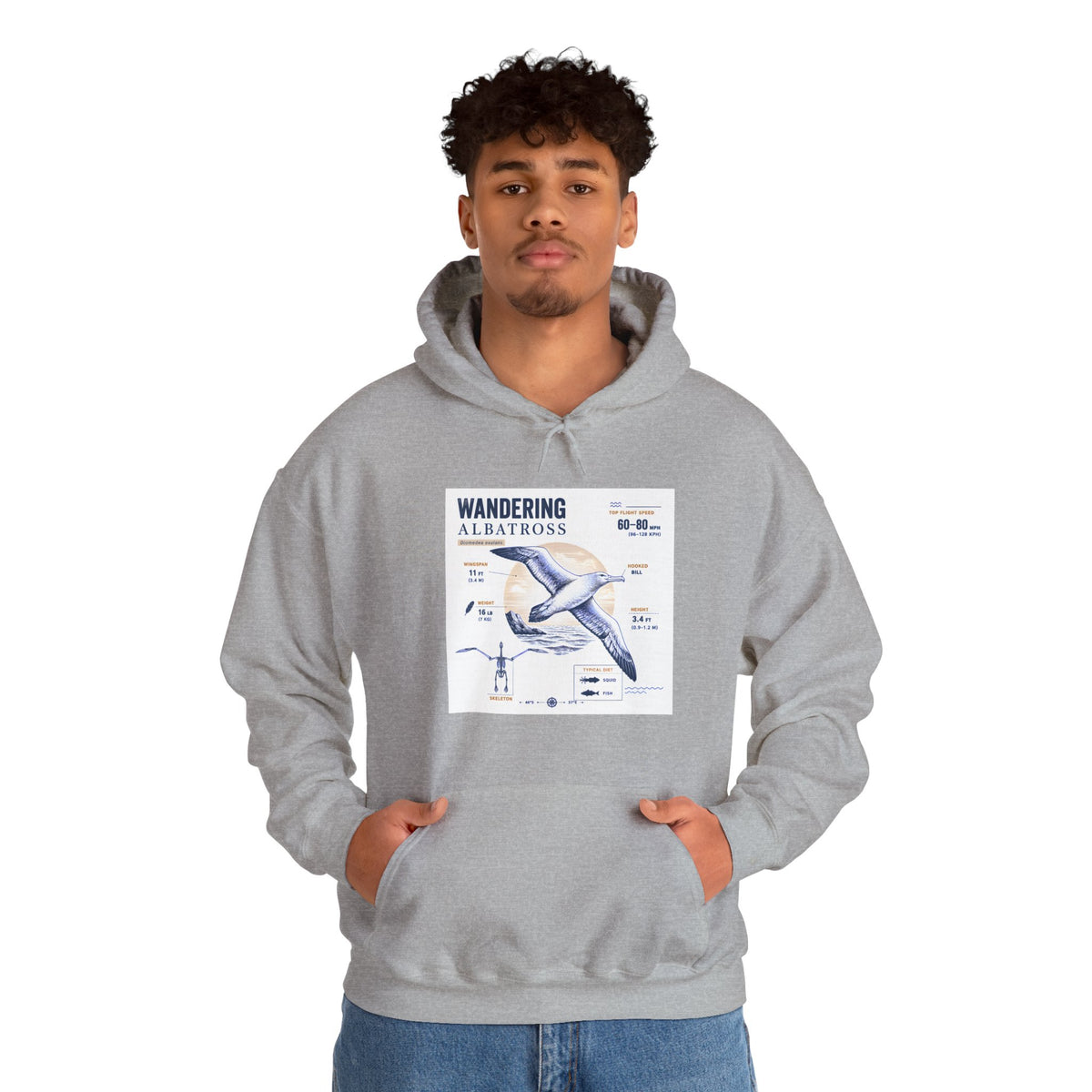 Wandering Albatross Hoodie — Illustrated Sea Bird Anatomy Pullover