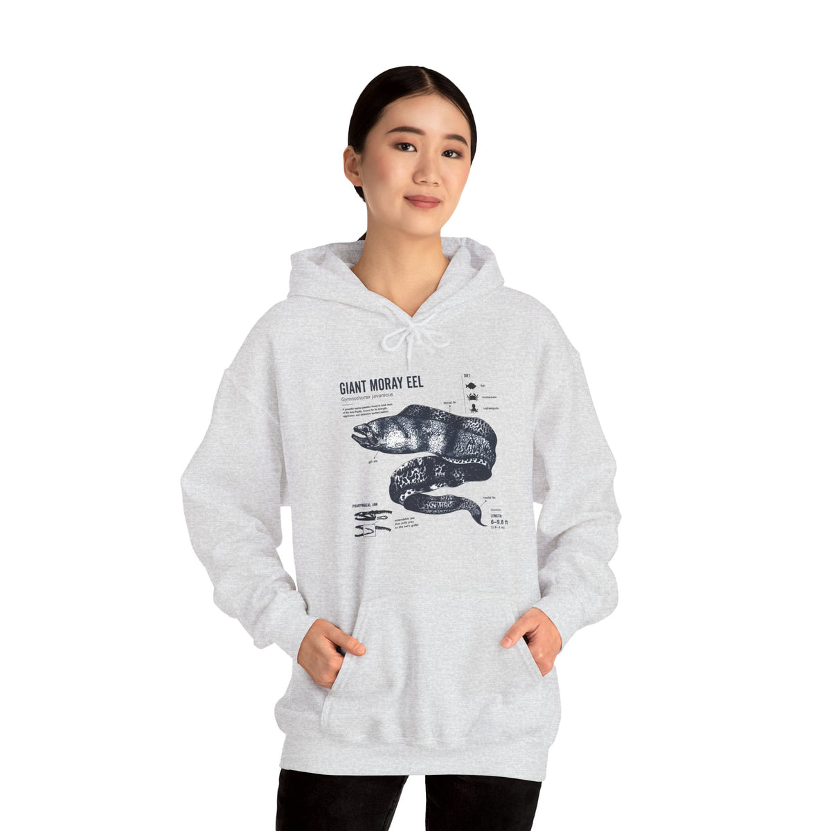 Sea Snake Diagram Hoodie - Vintage Scientific Illustration Sweatshirt