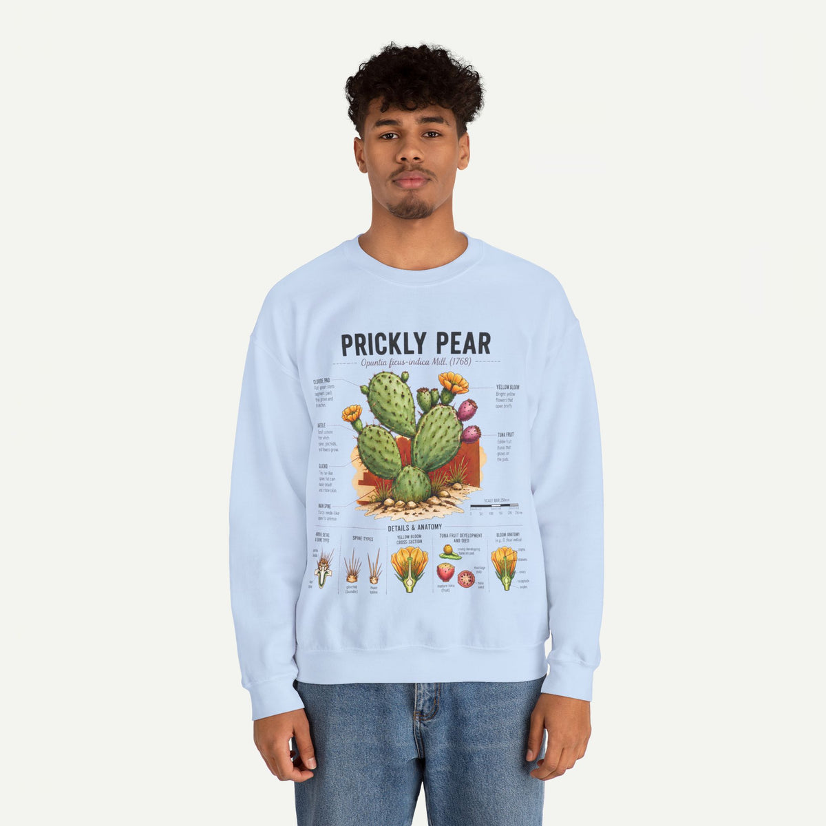 Prickly Pear Botanical Sweatshirt — Cactus Illustration Guide Crewneck