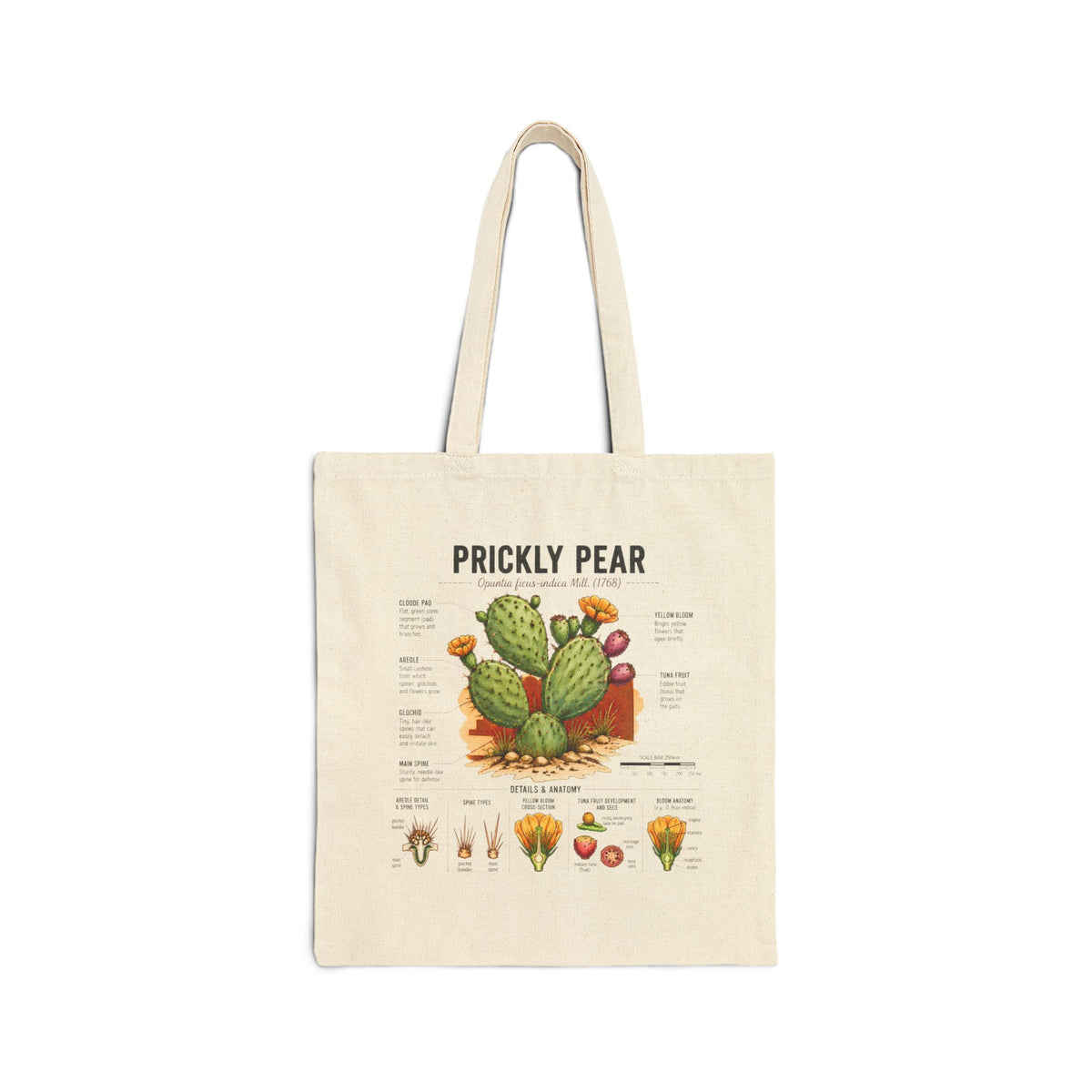 Prickly Pear Botanical Tote Bag – Vintage Cactus Illustration Cotton Canvas Tote Main image