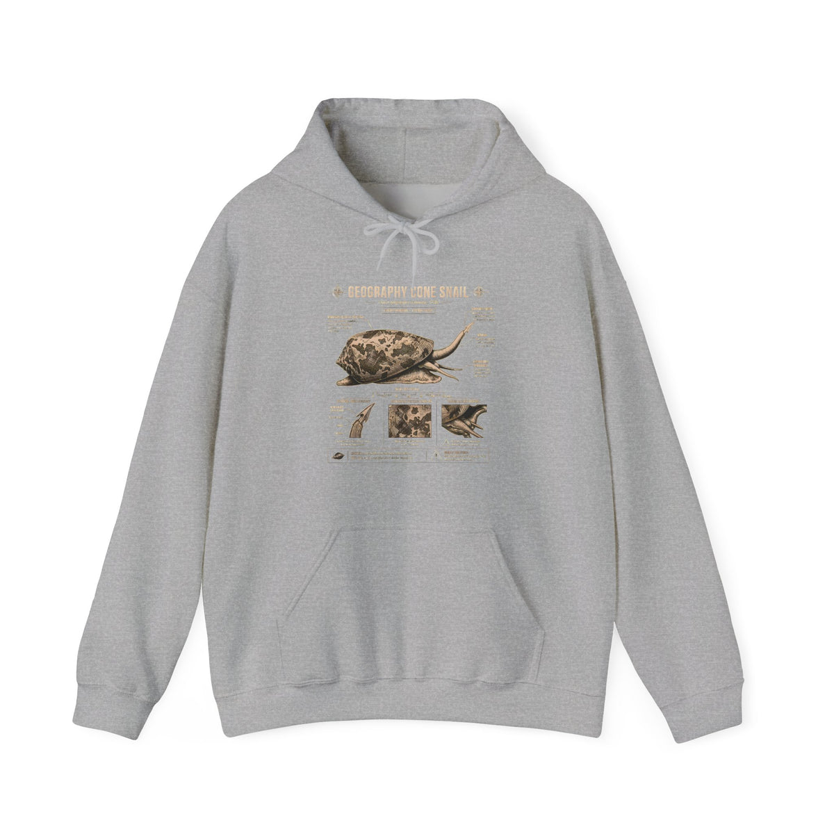Turtle Anatomy Hoodie — Vintage Sea Turtle Illustration, "Be Different, Embrace Your Shell" Sweatshirt Main image