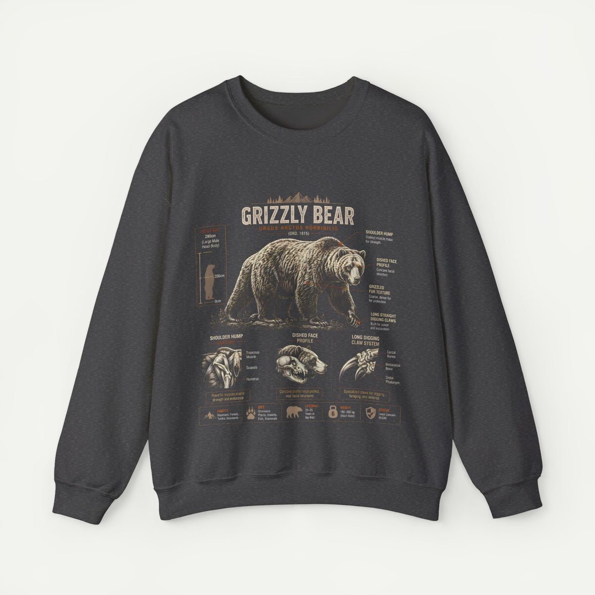 Grizzly Bear Anatomy Crewneck Sweatshirt — Vintage Wildlife Graphic Pullover