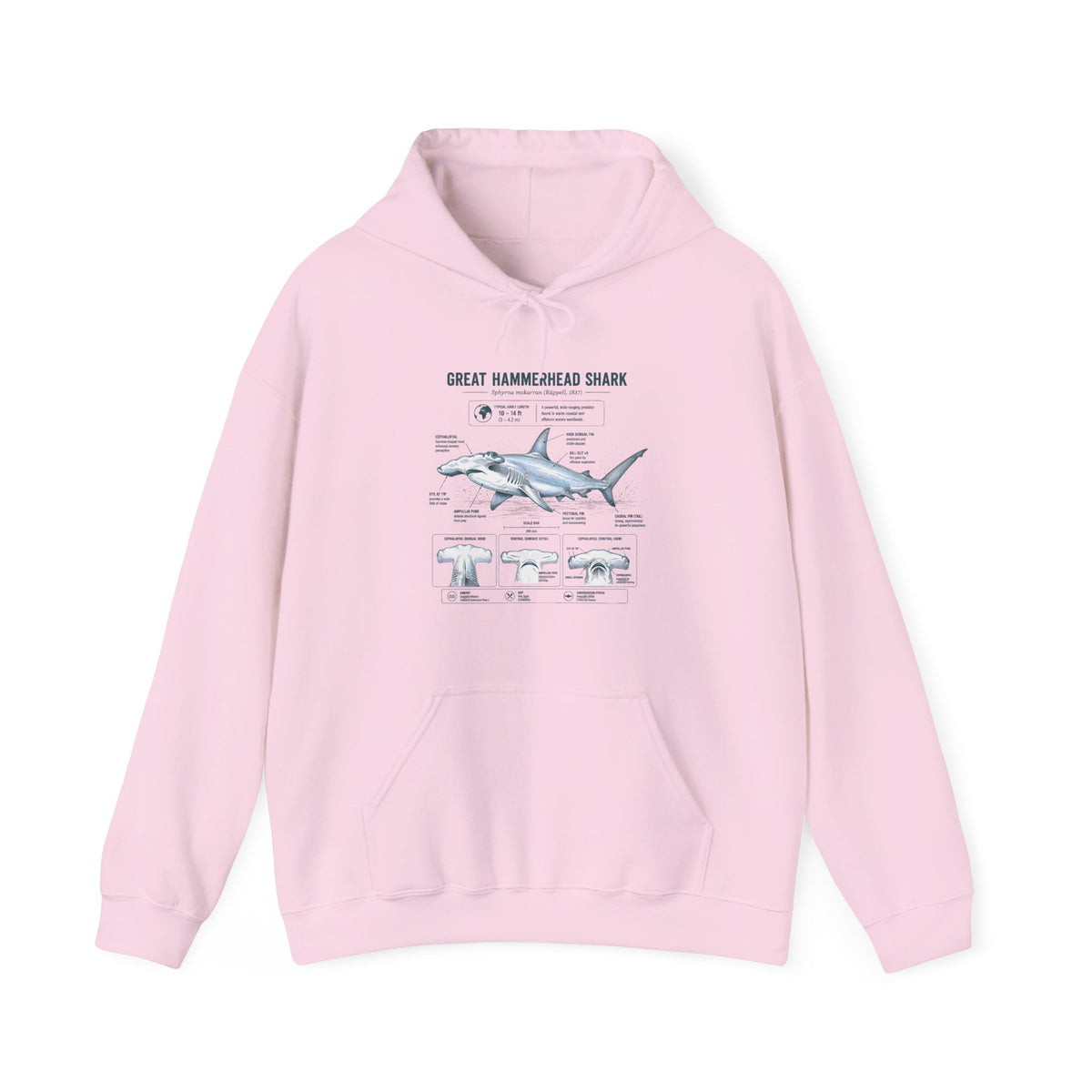 Shark Anatomy Hoodie — Great Hammerhead Shark Diagram Sweatshirt Main image