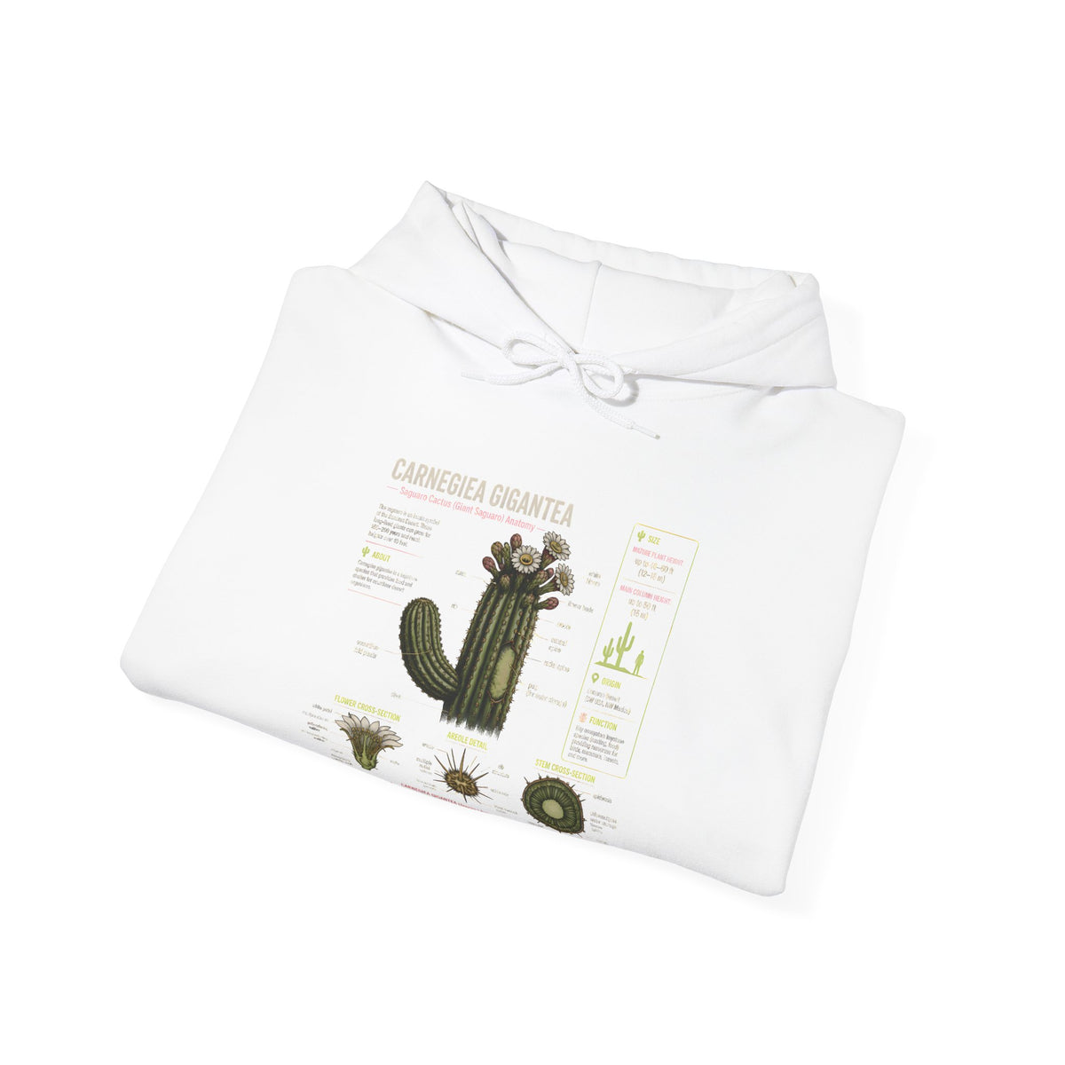 Cactus Anatomy Hoodie — Botanical Saguaro Diagram Sweatshirt