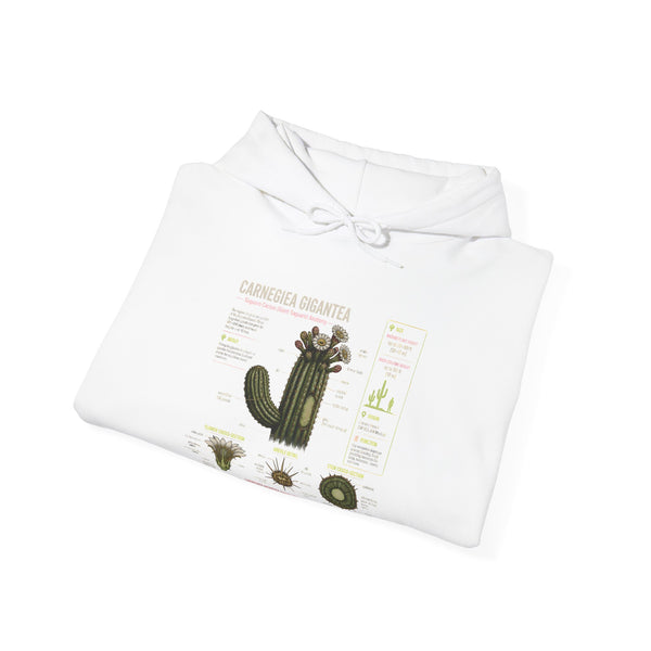 Cactus Anatomy Hoodie — Botanical Saguaro Diagram Sweatshirt