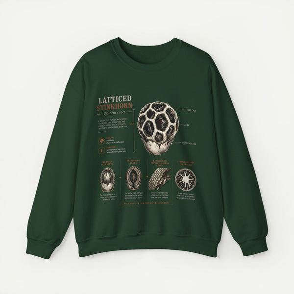 Mushroom Anatomy Sweatshirt – Latticeed Stinkhorn Mycology Crewneck
