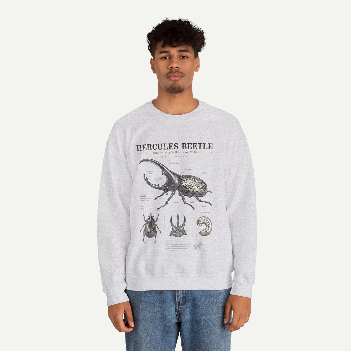 Hercules Beetle Anatomy  Crewneck Sweatshirt – Vintage Entomology Graphic