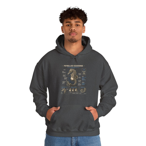 Pocketwatch Seahorse Anatomy Hoodie — Vintage Nautical Illustration Sweatshirt