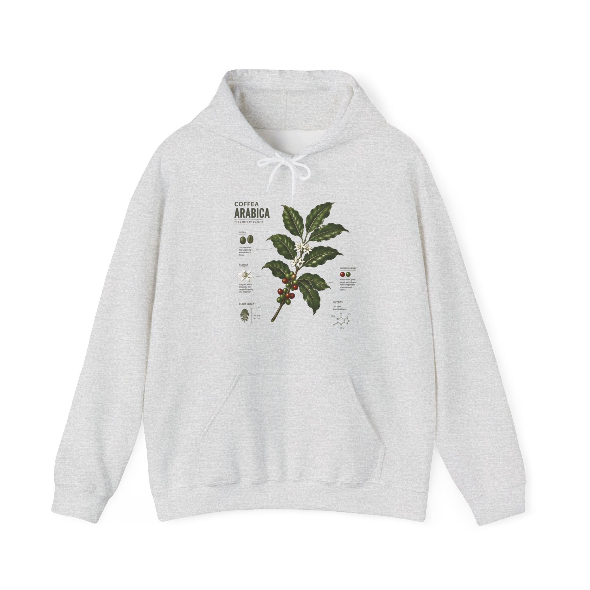 Coffee Plant Hoodie — Coffea Arabica Botanical Illustration Sweatshirt Secondary image