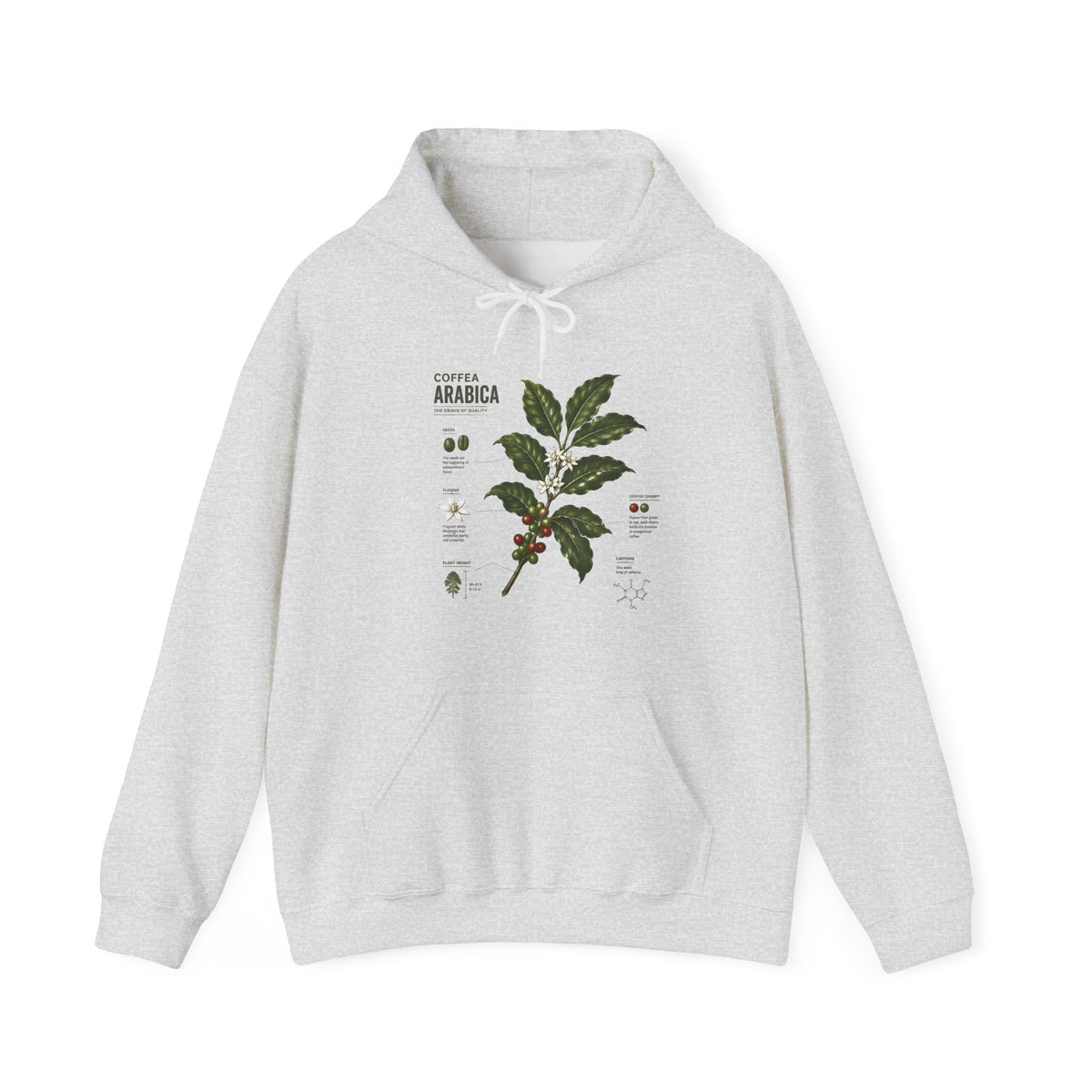 Coffee Plant Hoodie — Coffea Arabica Botanical Illustration Sweatshirt