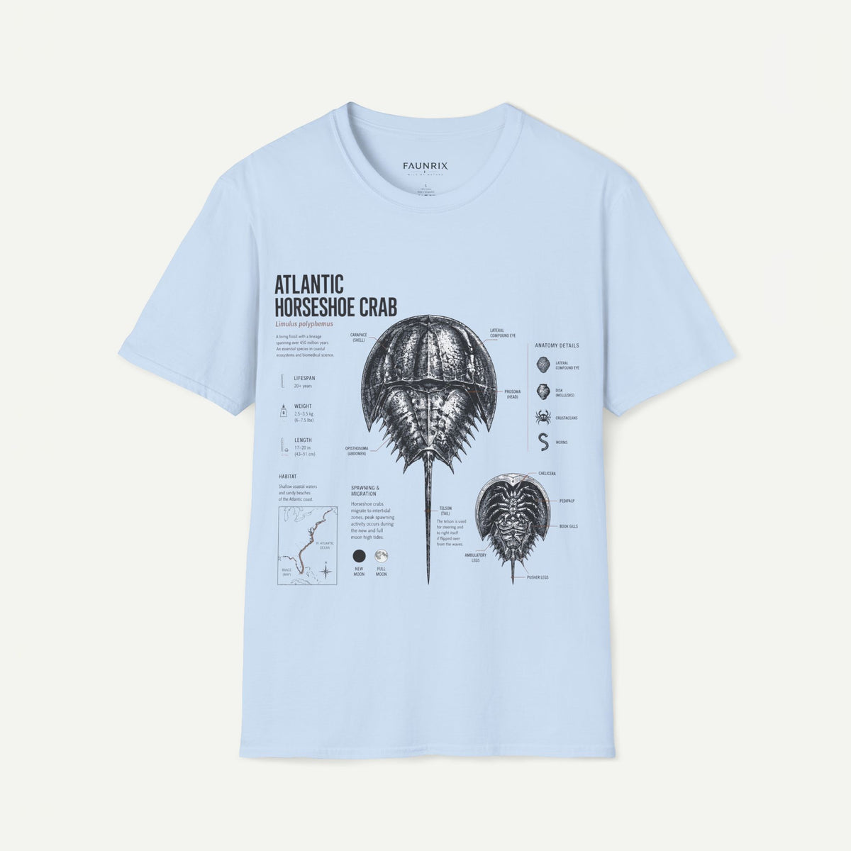 Horseshoe Crab Anatomy T-Shirt — Atlantic Horseshoe Crab Illustration
