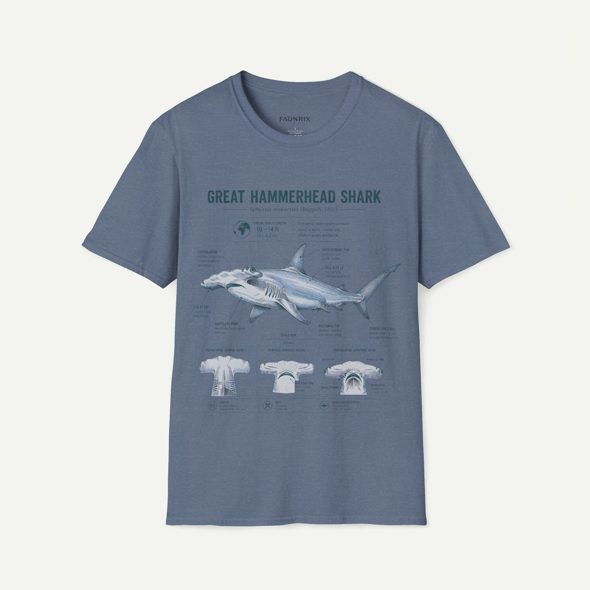 Hammerhead Shark Anatomy T-Shirt — Great Hammerhead Educational Tee