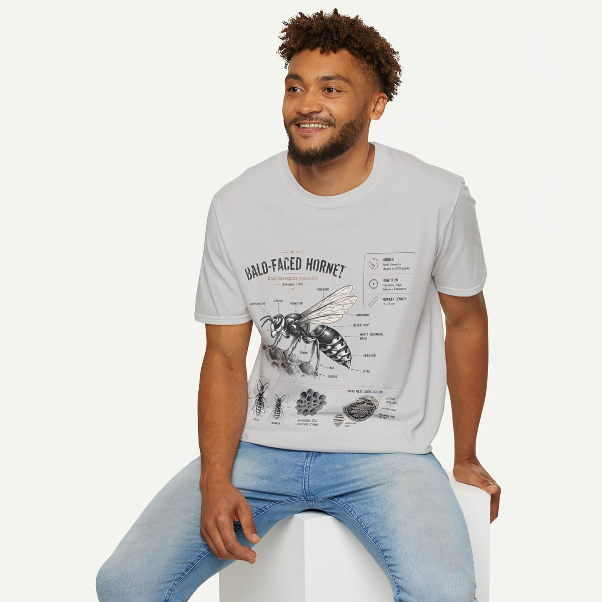 Bald-Faced Hornet Anatomy T-Shirt - Vintage Entomology Illustration