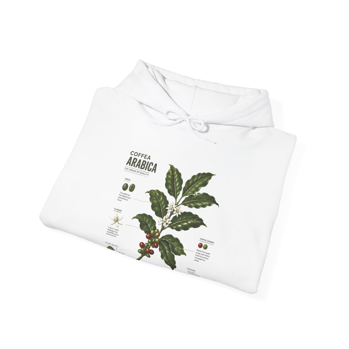 Coffee Plant Hoodie — Coffea Arabica Botanical Illustration Sweatshirt