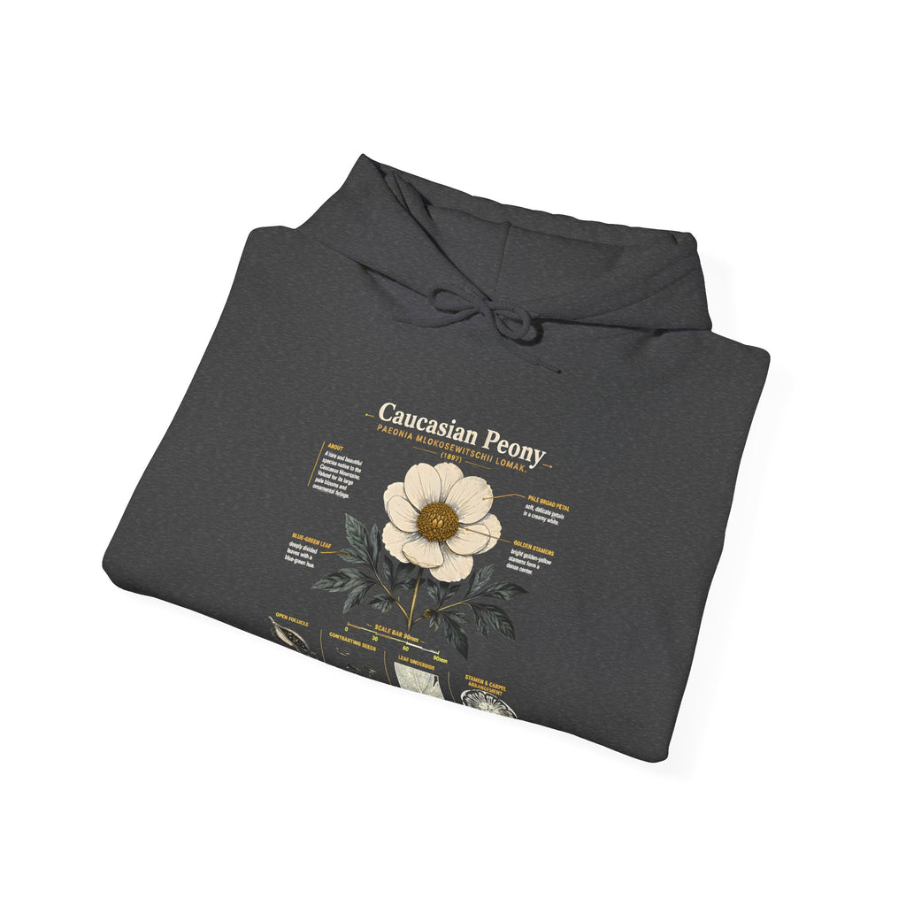 Magnolia Botany Hoodie — 'Caucasian Peony' Floral Diagram Hooded Sweatshirt