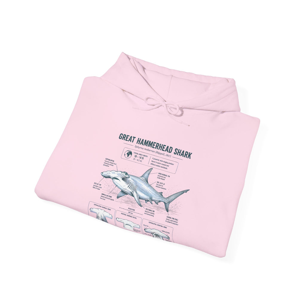 Shark Anatomy Hoodie — Great Hammerhead Shark Diagram Sweatshirt