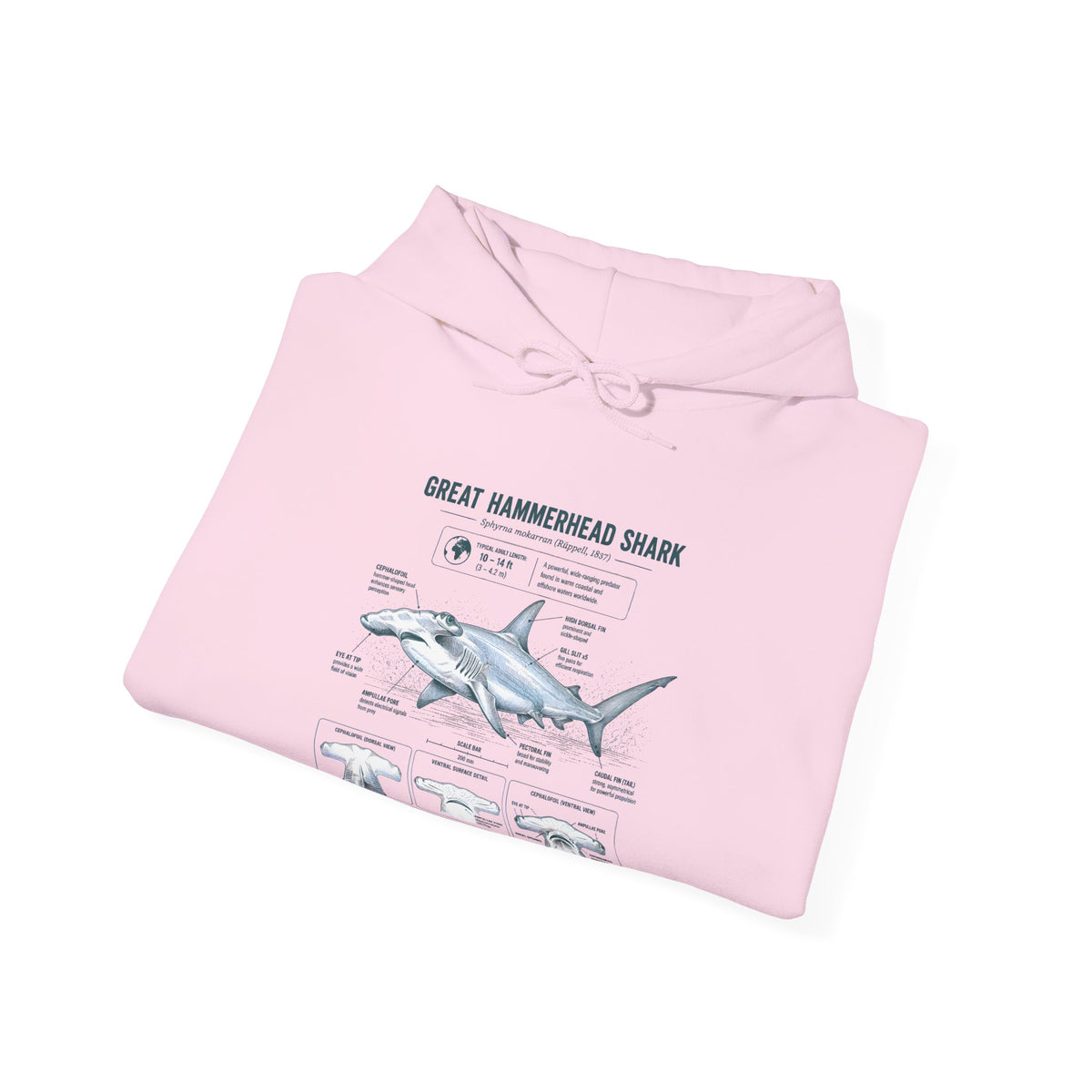 Shark Anatomy Hoodie — Great Hammerhead Shark Diagram Sweatshirt