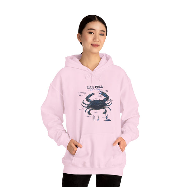 Blue Crab Anatomy Hoodie — Nautical Marine Biology Graphic Sweatshirt