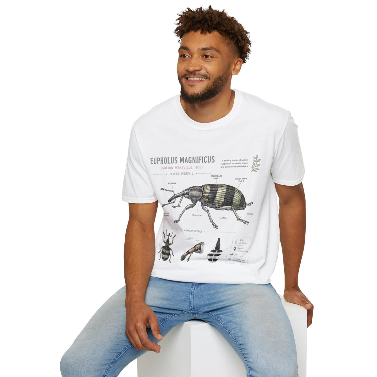Vintage Botanical Beetle Anatomy T-Shirt — Eupholus Magnificus Illustration