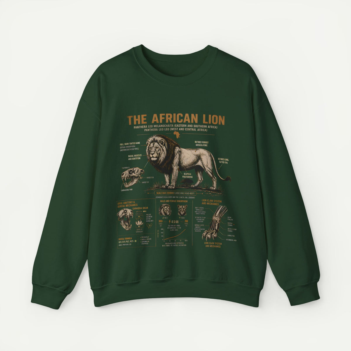 African Lion Anatomy Crewneck Sweatshirt