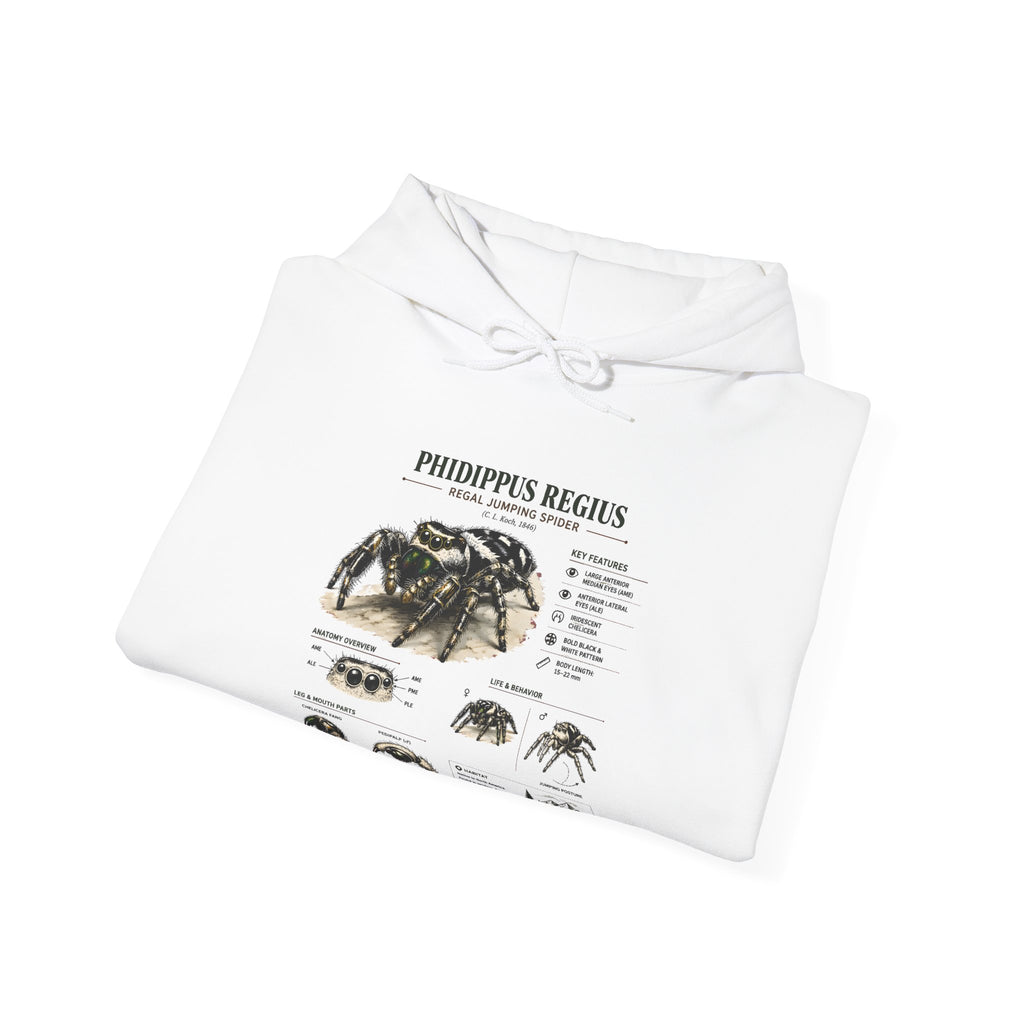 Tarantula Species Hoodie — Phidippus Regius Educational Spider Sweatshirt