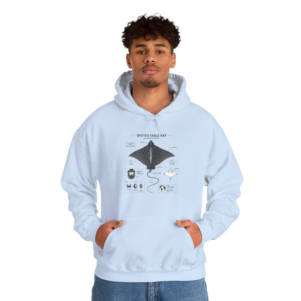 Manta Ray Anatomy Hoodie – Spotted Eagle Ray Diagram Sweatshirt