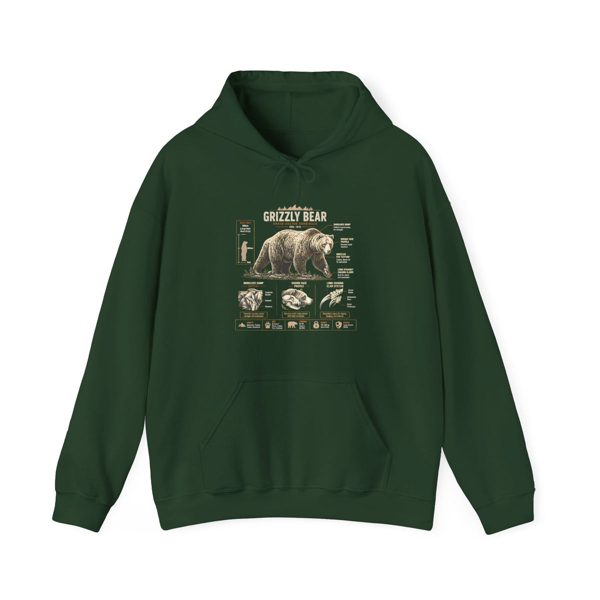 Hoodie — Vintage Bear Anatomy Graphic Hoodie