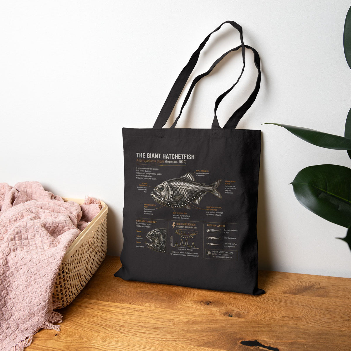 Fish Anatomy Canvas Tote — Vintage Scientific Illustration Cotton Bag