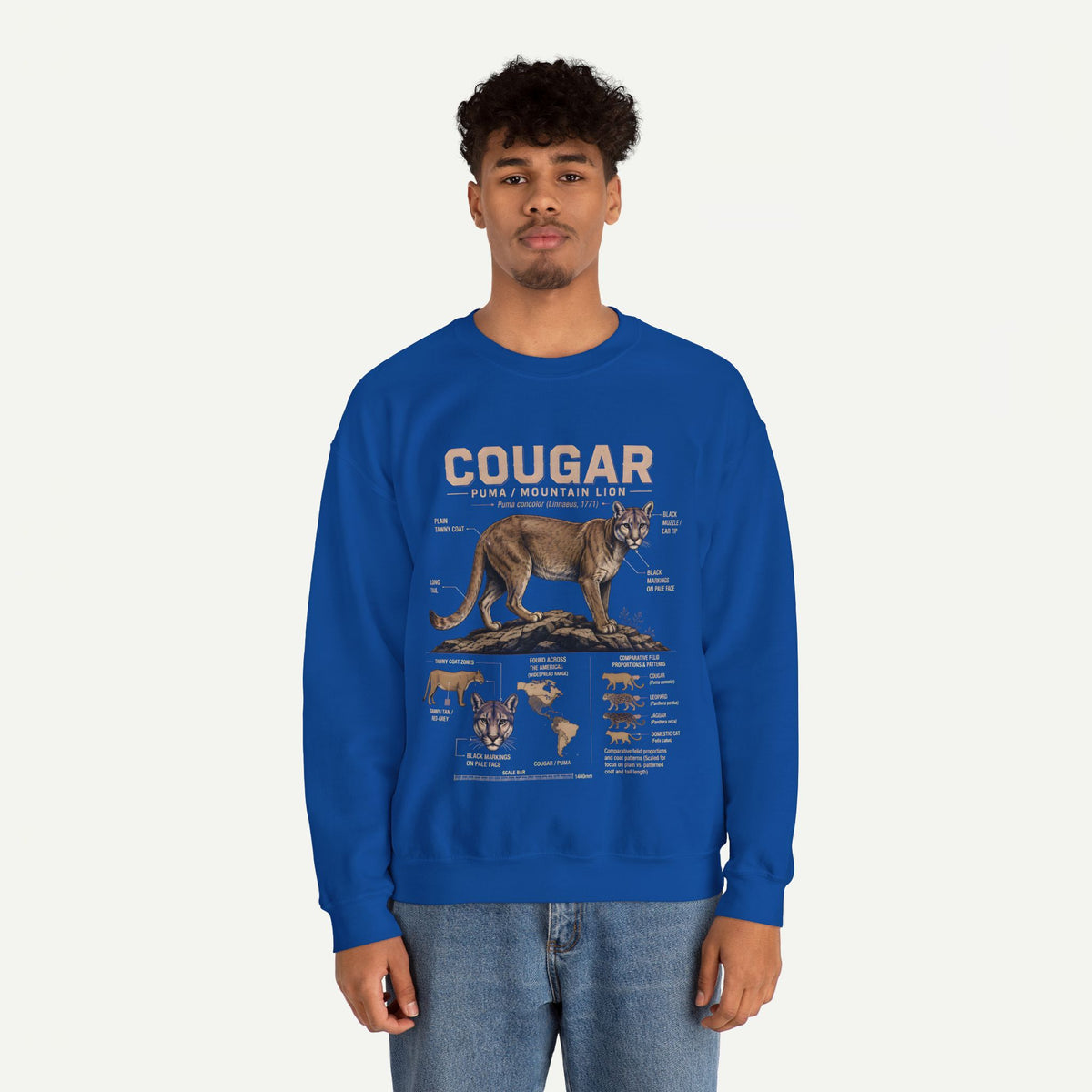 Cougar Anatomy Sweatshirt – Puma / Mountain Lion Educational Crewneck