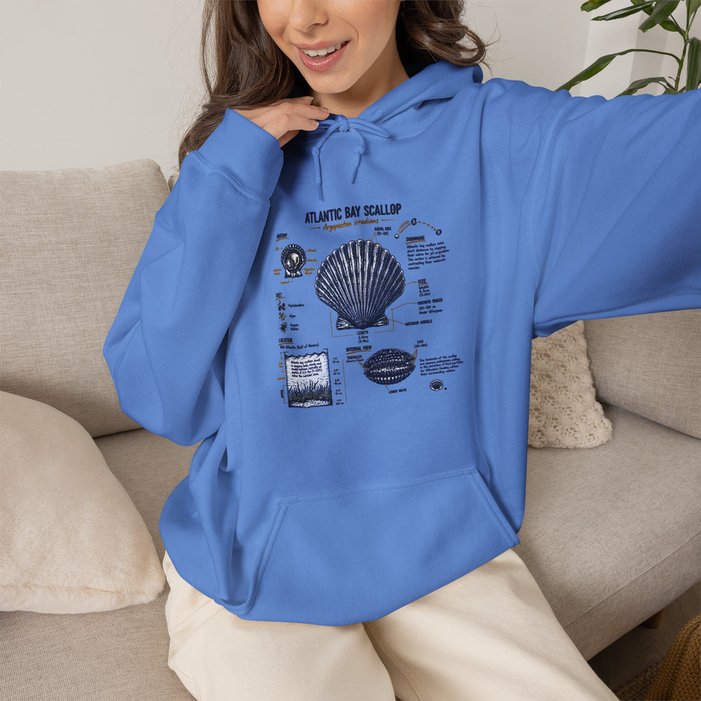 Seashell Anatomy Hoodie – Nautical Beach Diagram Sweatshirt