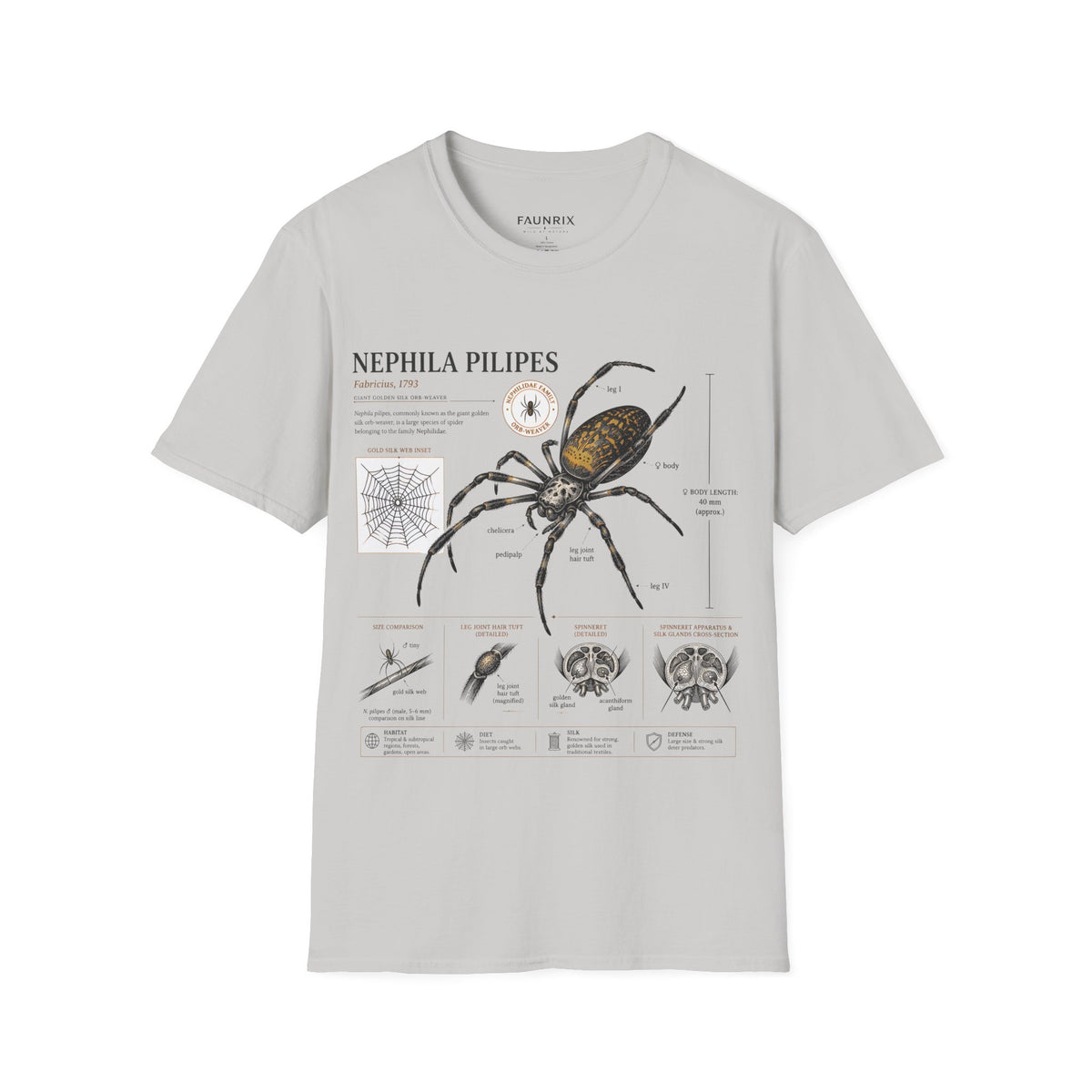 Spider Anatomy T-Shirt — Epephila Pilipis Scientific Illustration Tee