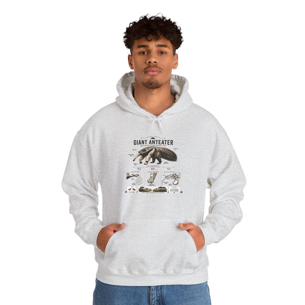 Giant Anteater Anatomy Hoodie — Illustrated Wildlife Diagram Sweatshirt