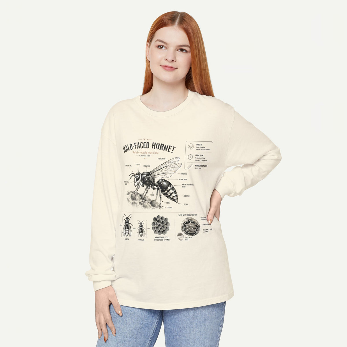Bald-Faced Hornet Anatomy Long Sleeve Tee
